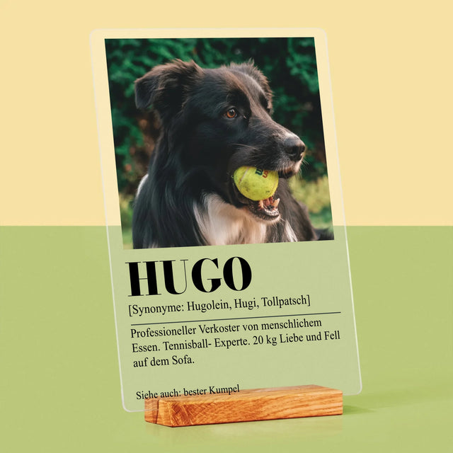 Foto Und Unterschrift: Haustier Definition - Druck Auf Acrylglas