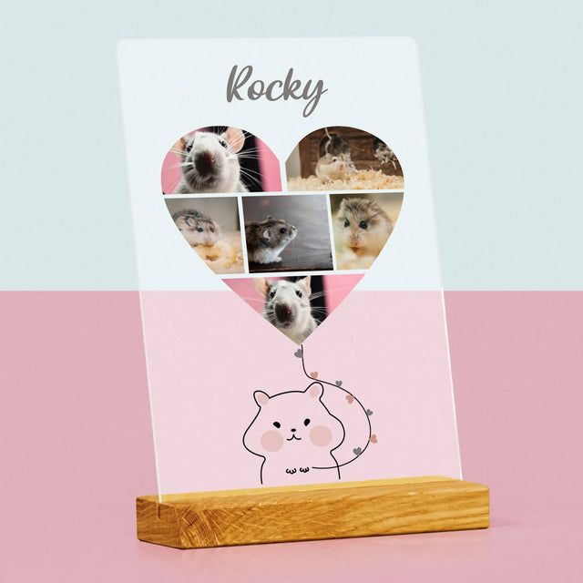 Fotocollage: Hamster - Druck Auf Acrylglas