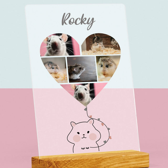 Fotocollage: Hamster - Druck Auf Acrylglas