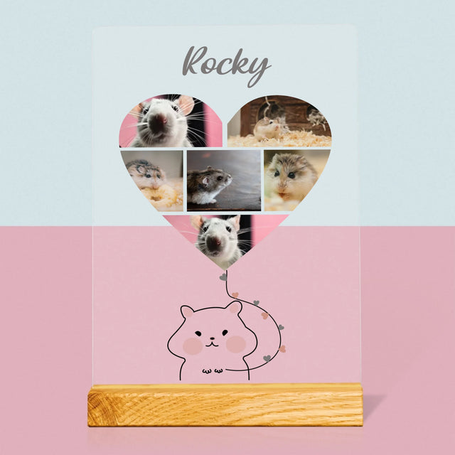 Fotocollage: Hamster - Druck Auf Acrylglas