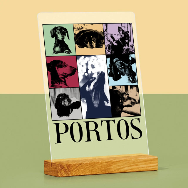 Fotocollage: Haustier Wie Taylor - Druck Auf Acrylglas