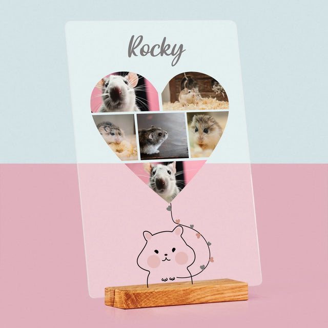 Fotocollage: Hamster - Druck Auf Acrylglas