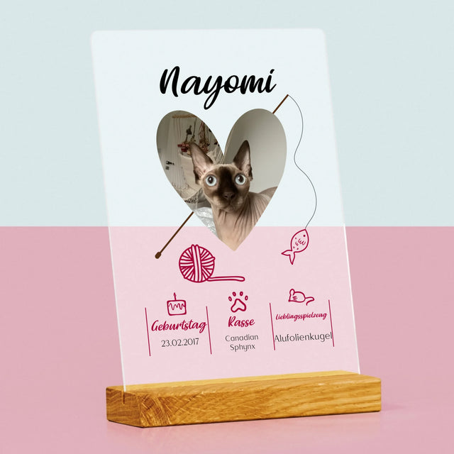 Foto Und Unterschrift: Katzenurkunde - Druck Auf Acrylglas