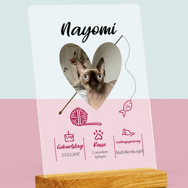 Foto Und Unterschrift: Katzenurkunde - Druck Auf Acrylglas