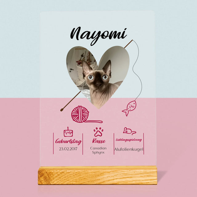 Foto Und Unterschrift: Katzenurkunde - Druck Auf Acrylglas