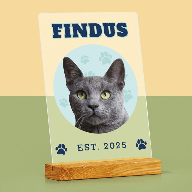 Ihr Avatar: Deine Uni-Katze - Druck Auf Acrylglas