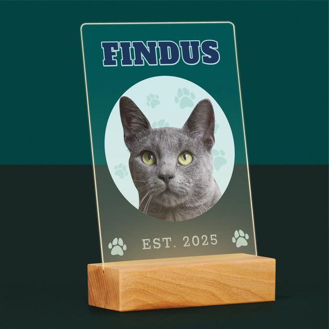 Ihr Avatar: Deine Uni-Katze - Druck Auf Acrylglas