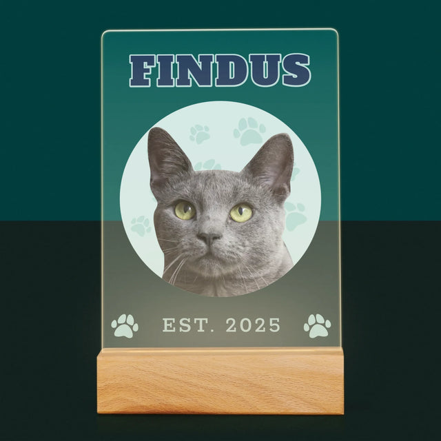 Ihr Avatar: Deine Uni-Katze - Druck Auf Acrylglas