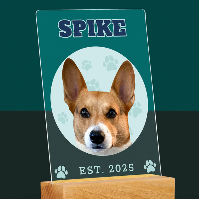 Ihr Avatar: Dein Uni-Hund - Druck Auf Acrylglas