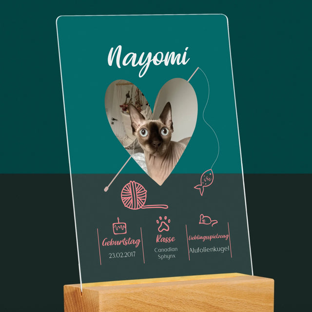 Foto Und Unterschrift: Katzenurkunde - Druck Auf Acrylglas