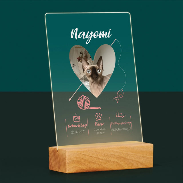 Foto Und Unterschrift: Katzenurkunde - Druck Auf Acrylglas