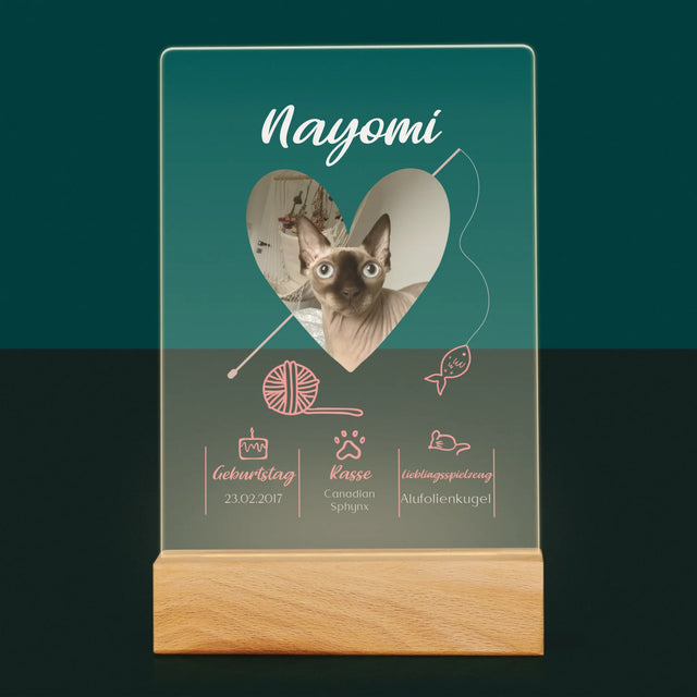 Foto Und Unterschrift: Katzenurkunde - Druck Auf Acrylglas