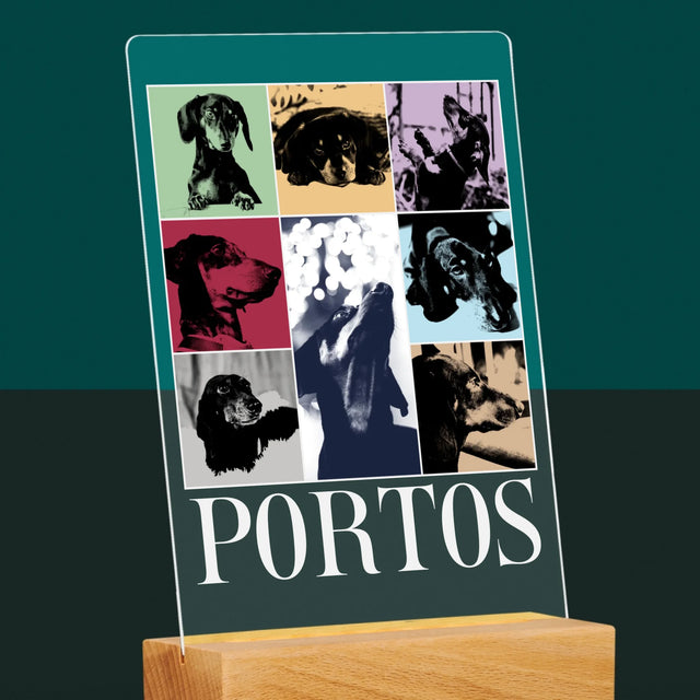 Fotocollage: Haustier Wie Taylor - Druck Auf Acrylglas