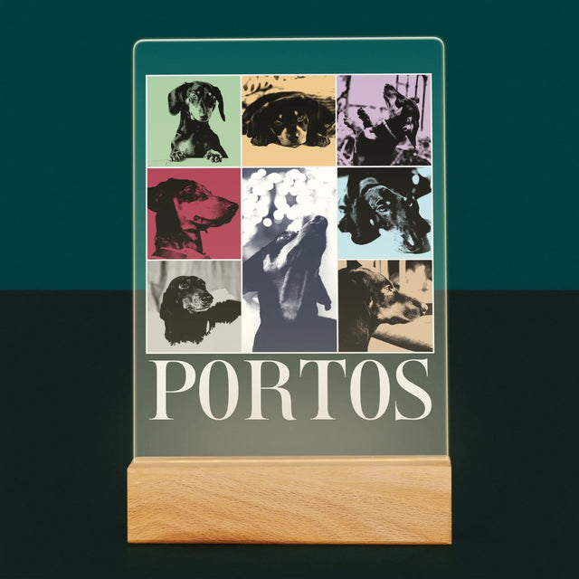 Fotocollage: Haustier Wie Taylor - Druck Auf Acrylglas