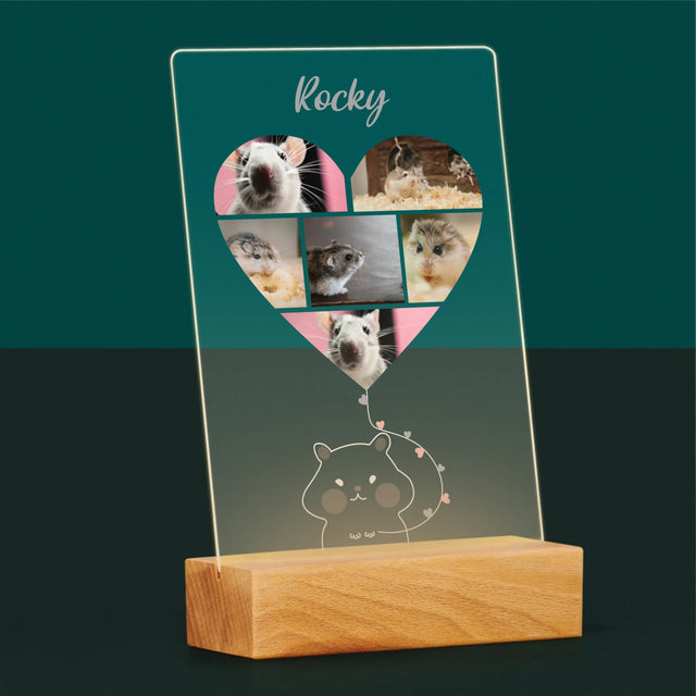 Fotocollage: Hamster - Druck Auf Acrylglas