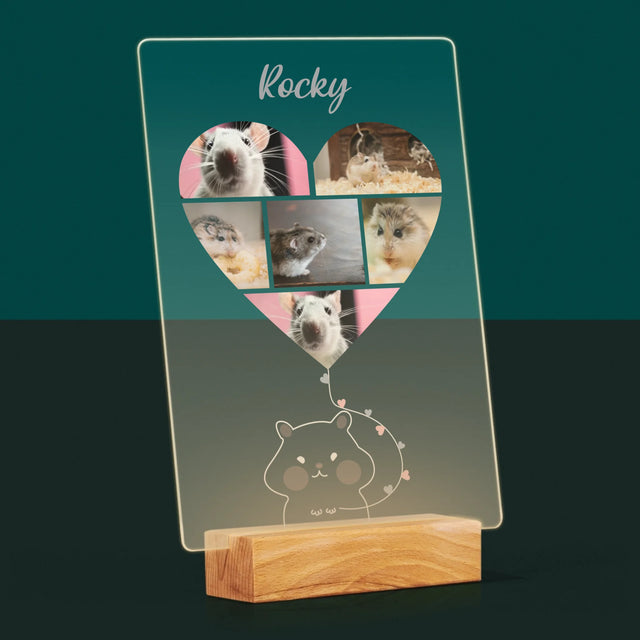 Fotocollage: Hamster - Druck Auf Acrylglas