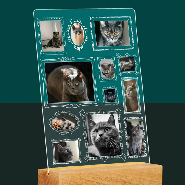 Fotocollage: Fotowand Mit Haustier - Druck Auf Acrylglas