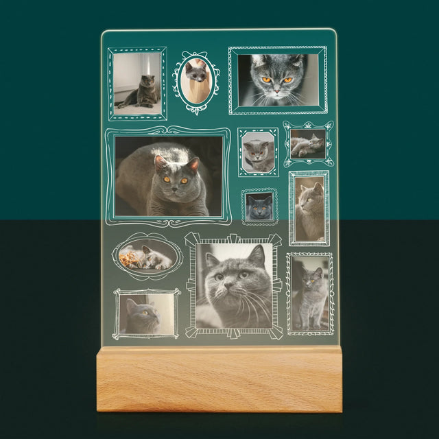 Fotocollage: Fotowand Mit Haustier - Druck Auf Acrylglas