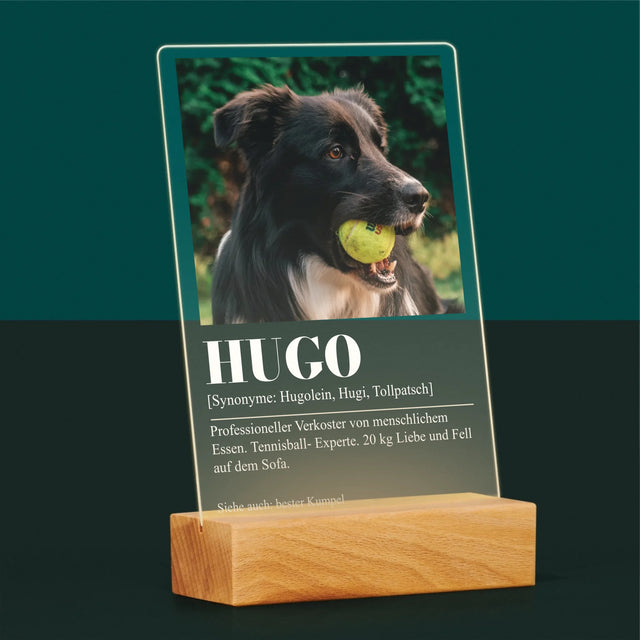 Foto Und Unterschrift: Haustier Definition - Druck Auf Acrylglas