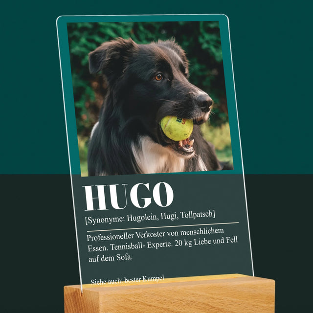 Foto Und Unterschrift: Haustier Definition - Druck Auf Acrylglas