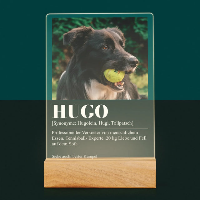 Foto Und Unterschrift: Haustier Definition - Druck Auf Acrylglas