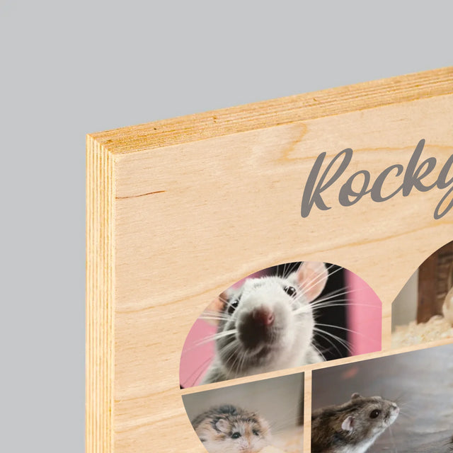 Fotocollage: Hamster - Druck Auf Holz