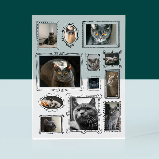 Fotocollage: Fotowand Mit Haustier - Druck Auf Acrylglas