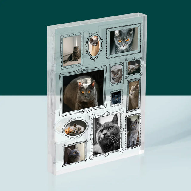 Fotocollage: Fotowand Mit Haustier - Druck Auf Acrylglas