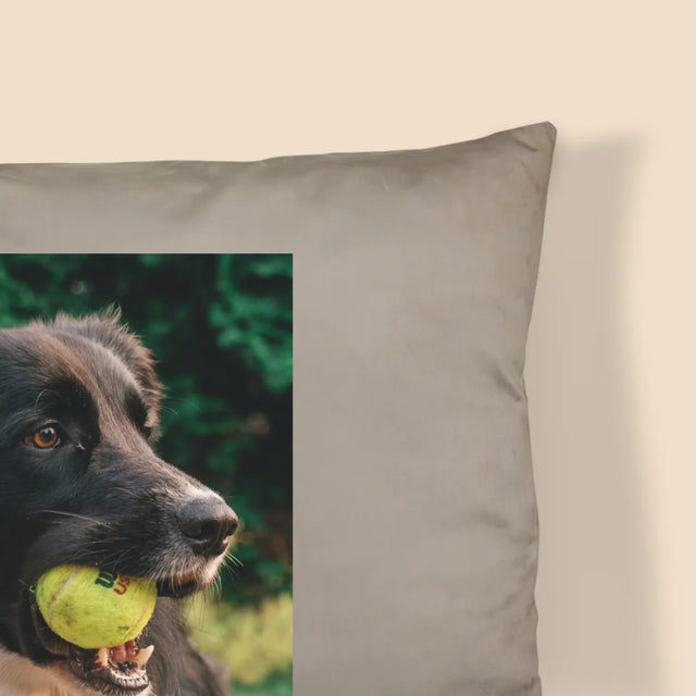 Foto Und Unterschrift: Haustier Definition - Kissen