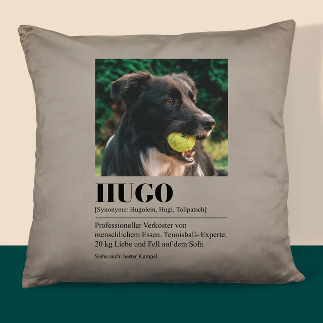 Foto Und Unterschrift: Haustier Definition - Kissen
