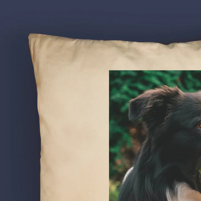 Foto Und Unterschrift: Haustier Definition - Kissen