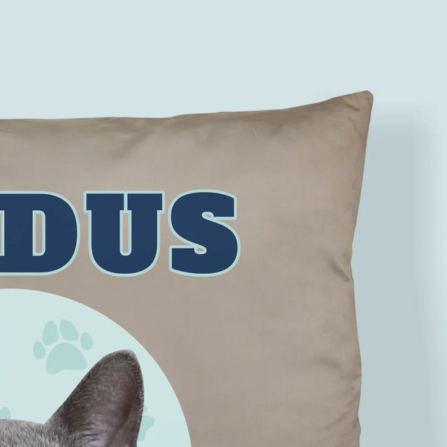 Ihr Avatar: Deine Uni-Katze - Kissen