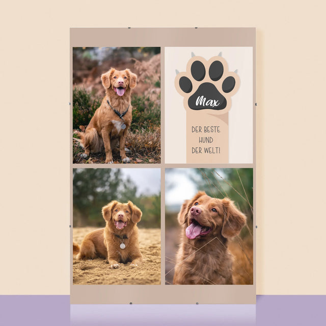 Fotocollage: Bester Hund - Poster