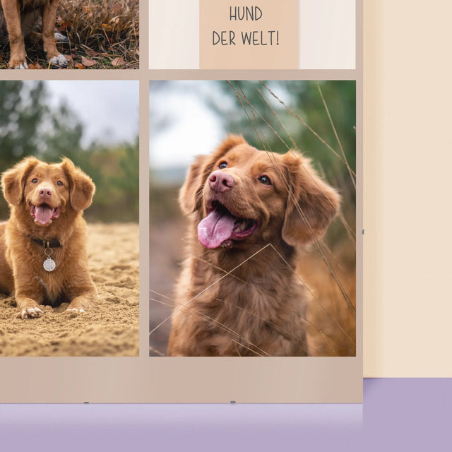 Fotocollage: Bester Hund - Poster