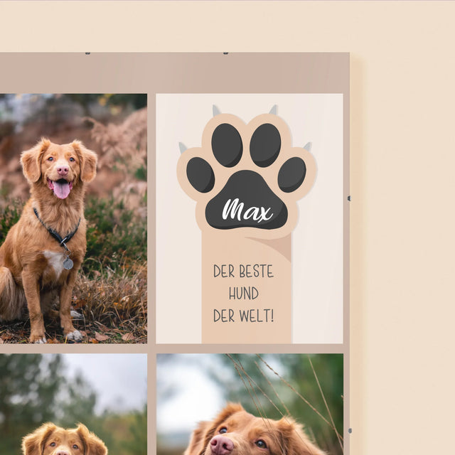 Fotocollage: Bester Hund - Poster