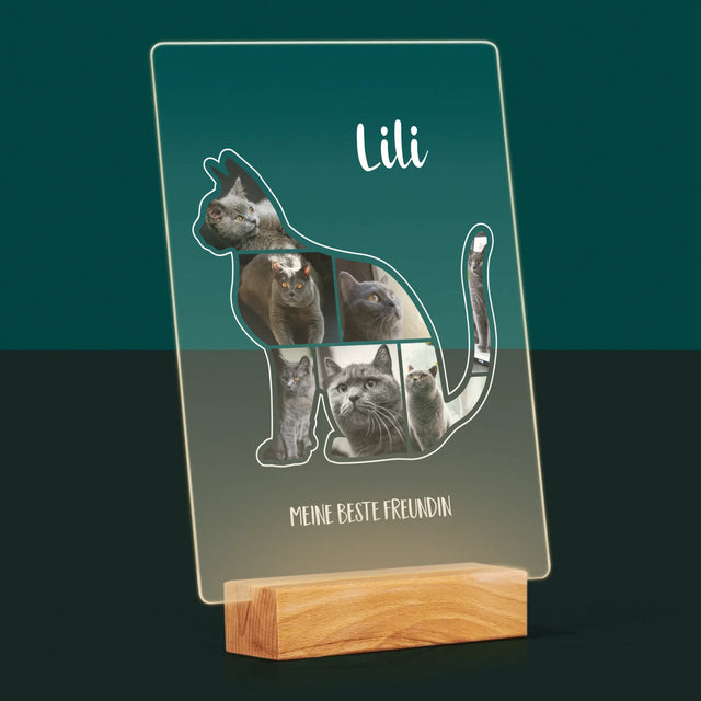 Form-Collage: Die Katze Der Beste Freund - Druck Auf Acrylglas