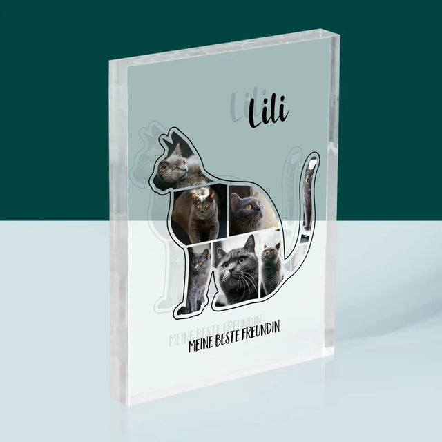Form-Collage: Die Katze Der Beste Freund - Druck Auf Acrylglas