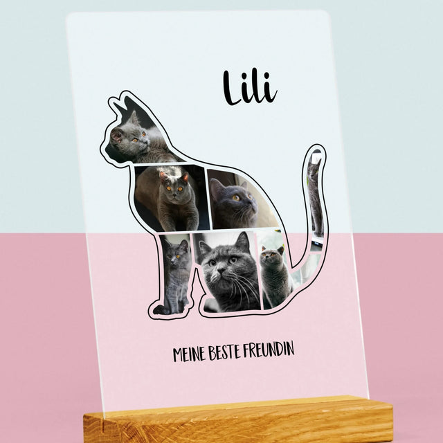Form-Collage: Die Katze Der Beste Freund - Druck Auf Acrylglas