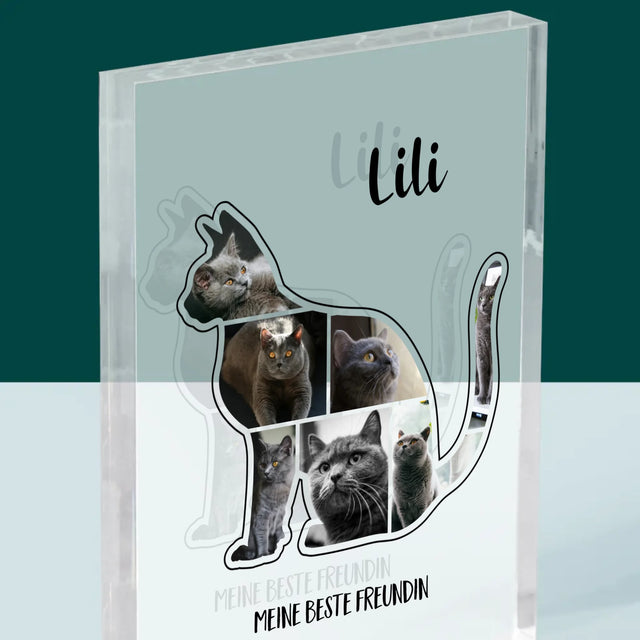 Form-Collage: Die Katze Der Beste Freund - Druck Auf Acrylglas