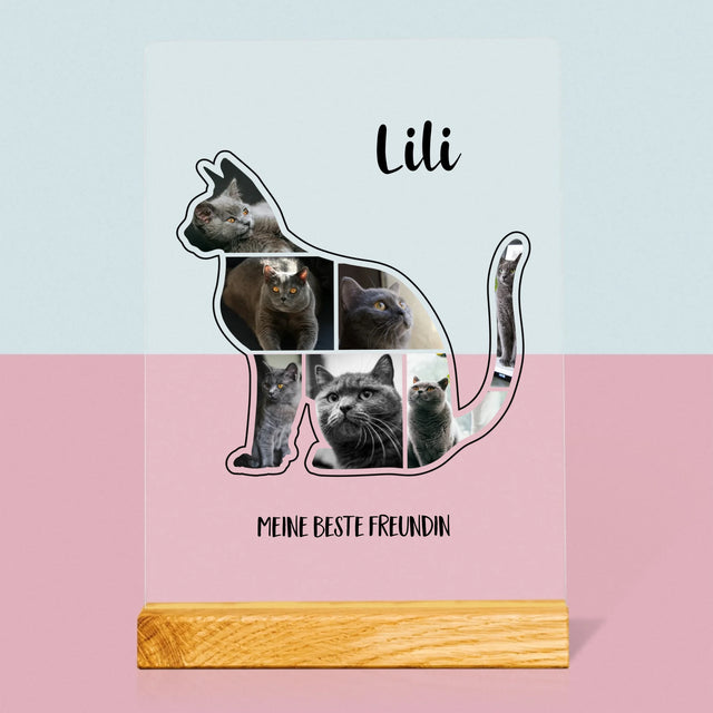 Form-Collage: Die Katze Der Beste Freund - Druck Auf Acrylglas