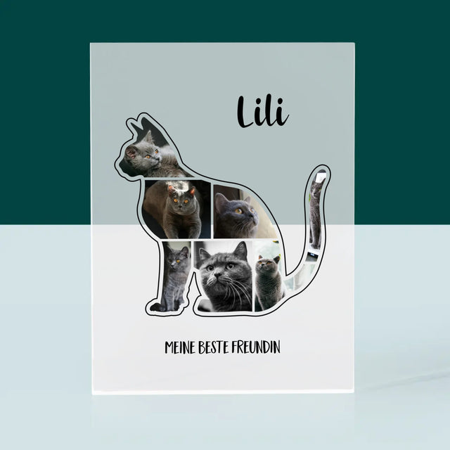 Form-Collage: Die Katze Der Beste Freund - Druck Auf Acrylglas