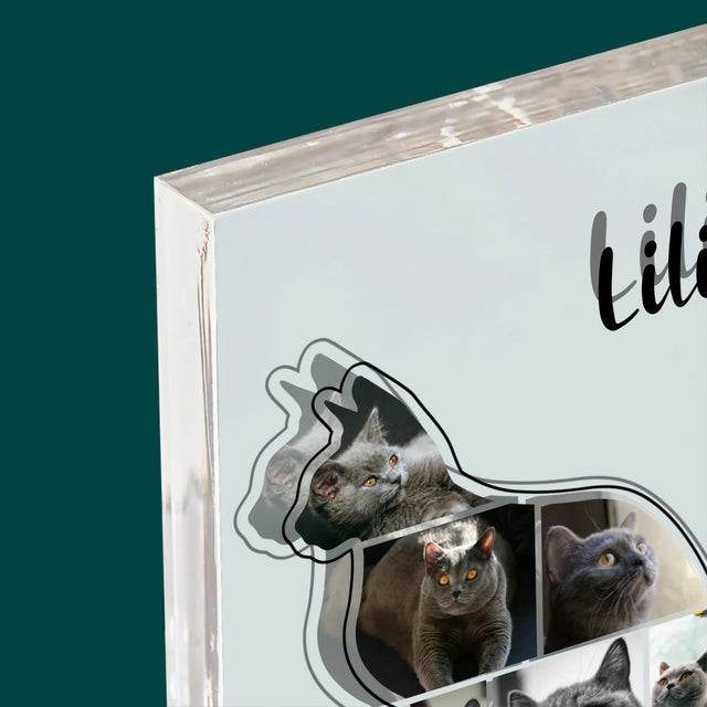 Form-Collage: Die Katze Der Beste Freund - Druck Auf Acrylglas