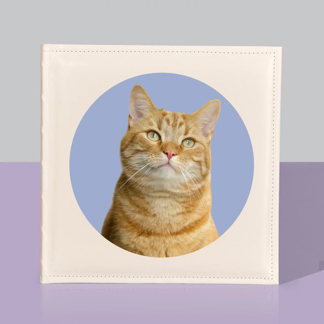 Foto: Deine Katze - Fotoalbum