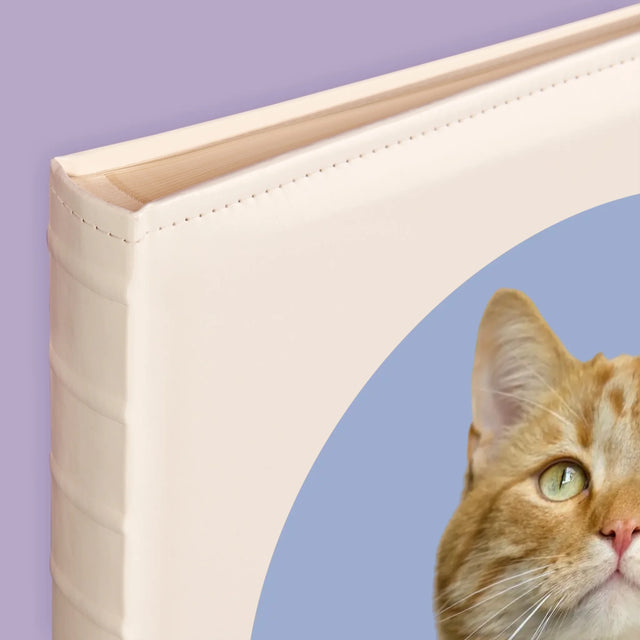 Foto: Deine Katze - Fotoalbum