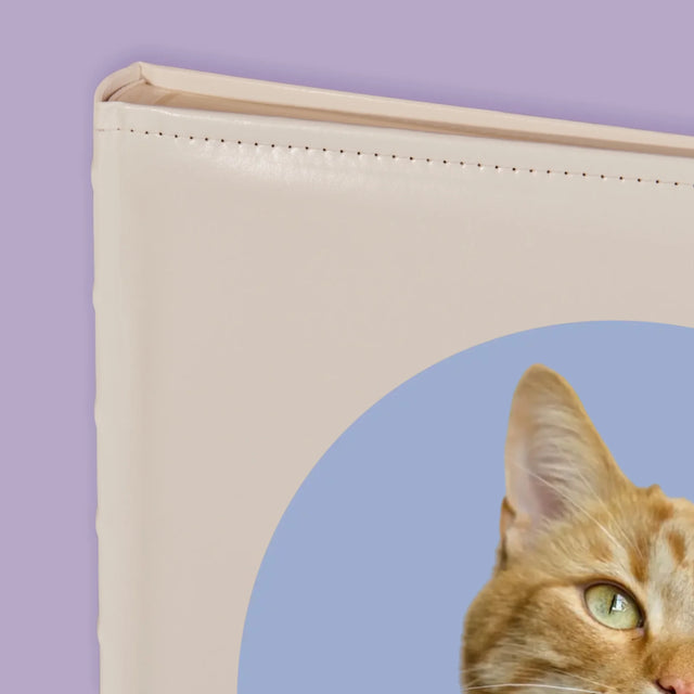 Foto: Deine Katze - Fotoalbum