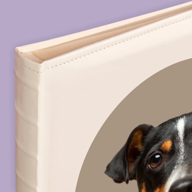 Foto: Dein Hund - Fotoalbum