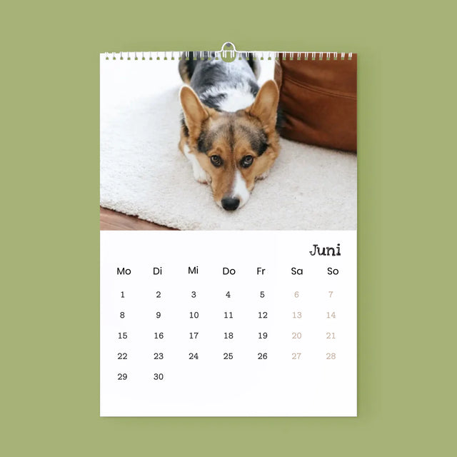 Foto Und Unterschrift: Geliebtes Pelztier - Wandkalender