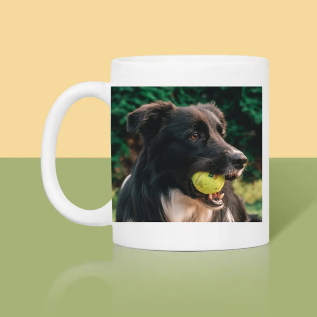 Foto Und Unterschrift: Haustier Definition - Tasse