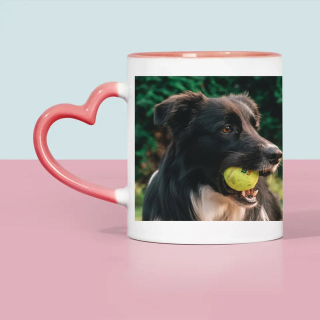Foto Und Unterschrift: Haustier Definition - Tasse