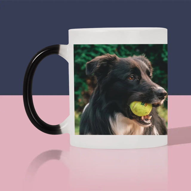 Foto Und Unterschrift: Haustier Definition - Tasse